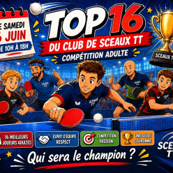 Top 16 adultes 6 juin 10h-18h