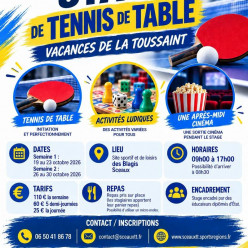 Un Stage de Ping à la Toussaint?